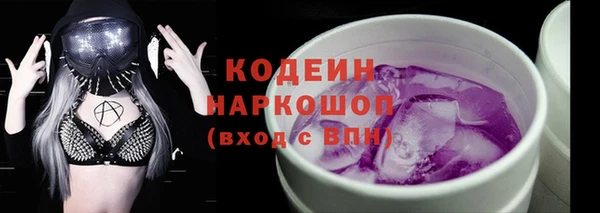 СК Бородино