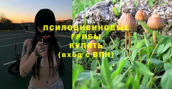 мет Белокуриха