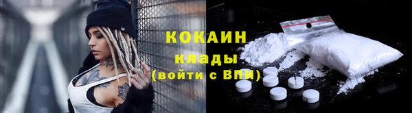 таблы Богородицк