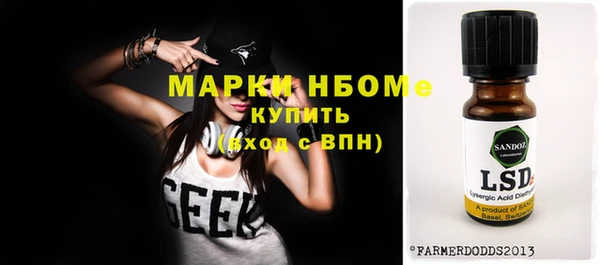СК Бородино