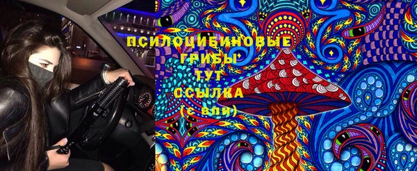мескалин Богданович